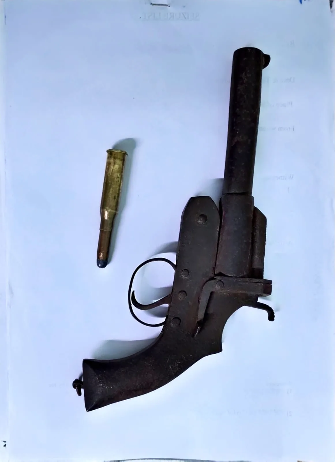 বাসন্তীতে উদ্ধার হওয়া আগ্নেয়শ্চর্য