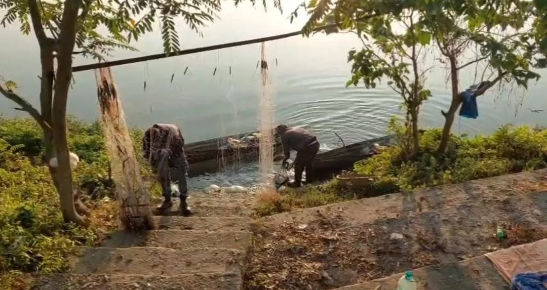 ফুলবাড়ির মহানন্দা ব্যারাজে জালে প্রচুর মাছ, ভালো জোগানে খুশি মৎস্যজীবীরা